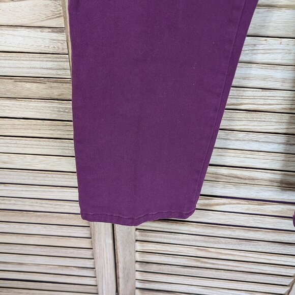 Gloria Vanderbilt Amanda Purple High-Waisted Pants Size 8P - Picture 2 of 12